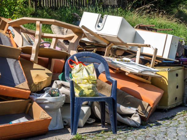 Best Hoarding Cleanup  in Pinellas Park, FL